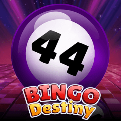 Bingo Destiny