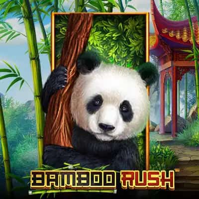 Bamboo Rush
