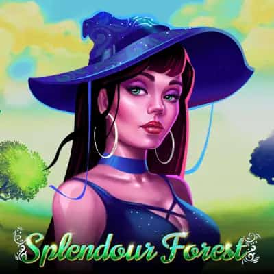 Splendour Forest