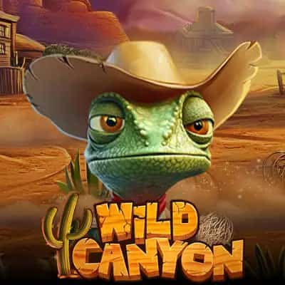 Wild Canyon