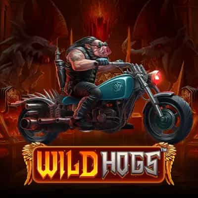 Wild Hogs