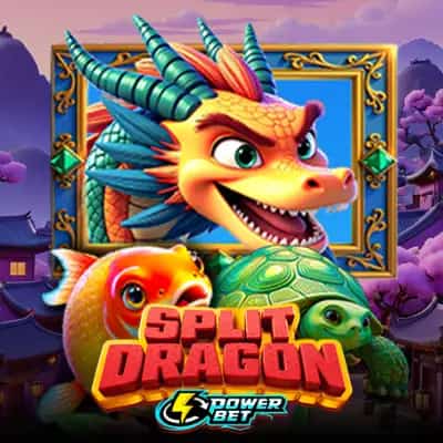 Split Dragon Power Bet
