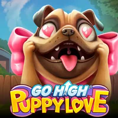 Go High Puppy Love