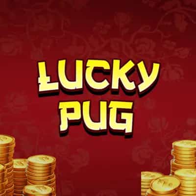 Lucky Pug