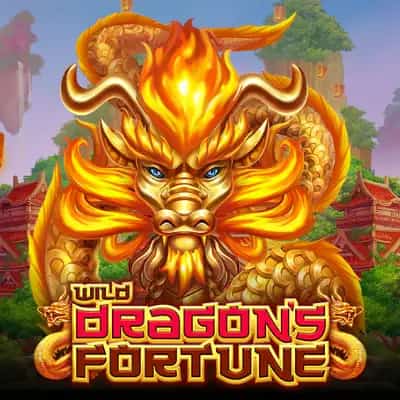 Wild Dragon's Fortune