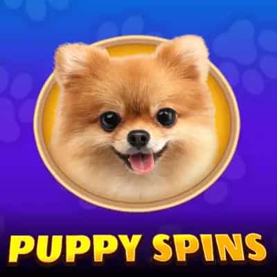 Puppy Spins