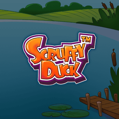 Scruffy Duck
