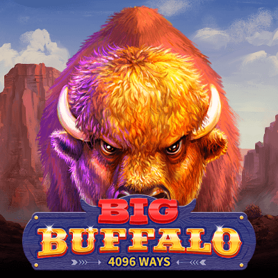 Big Buffalo