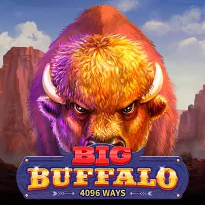 Big Buffalo