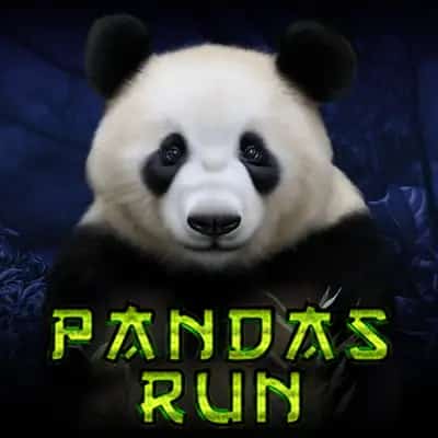 Panda's Run