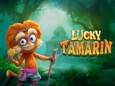 Lucky Tamarin