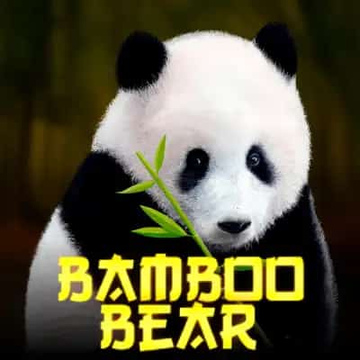 Bamboo Bear
