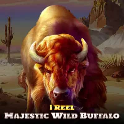 1 Reel - Majestic Wild Buffalo