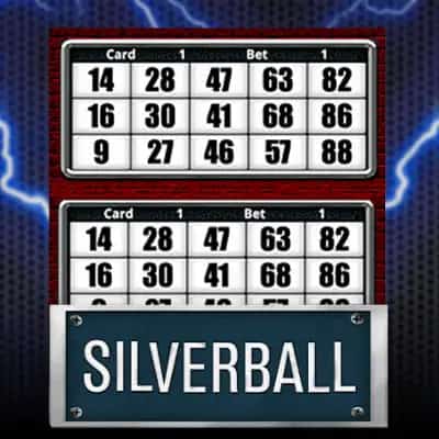 Silverball Bingo