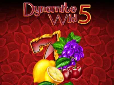 Dynamite Wild 5