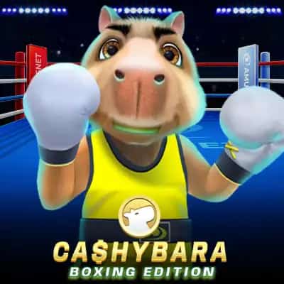 Cashybara Boxing Edition