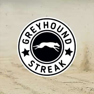 Greyhound Streak