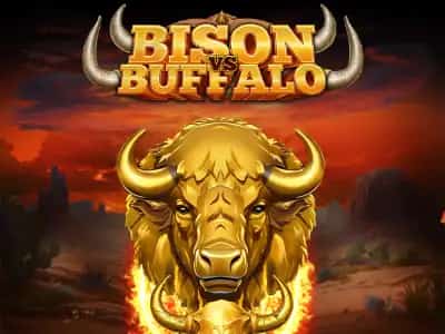 Bison vs Buffalo