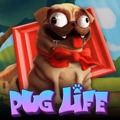 Pug Life