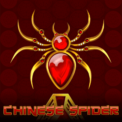 Chinese Spider