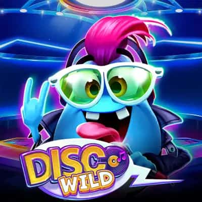 Disco Wild