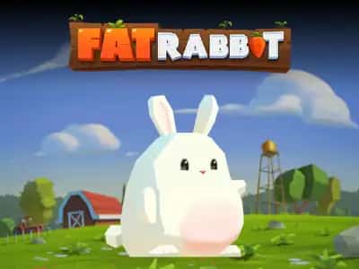 Fat Rabbit
