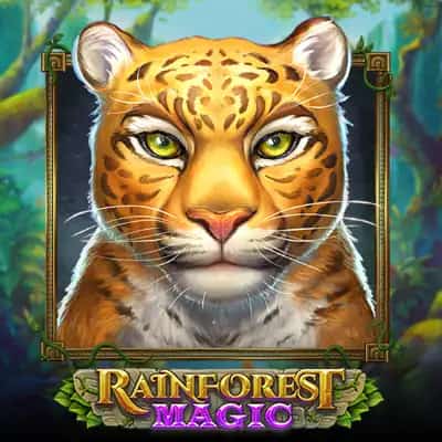 Rainforest Magic