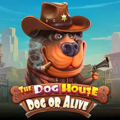 The Dog House - Dog or Alive