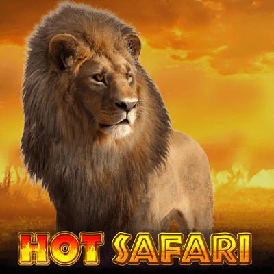 Hot Safari