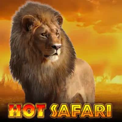 Hot Safari