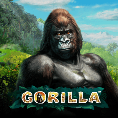 Gorilla