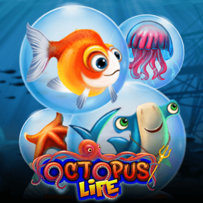 Octopus Life