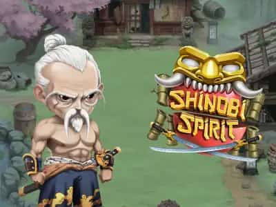 Shinobi Spirit