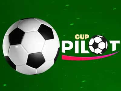 Pilot Cup