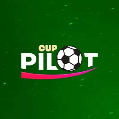 Pilot Cup