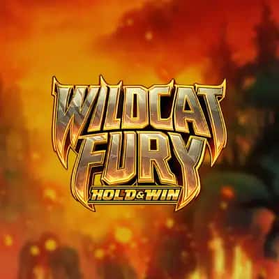 Wildcat Fury