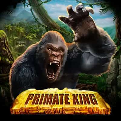 Primate King