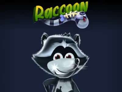 Raccoon