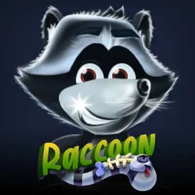 Raccoon
