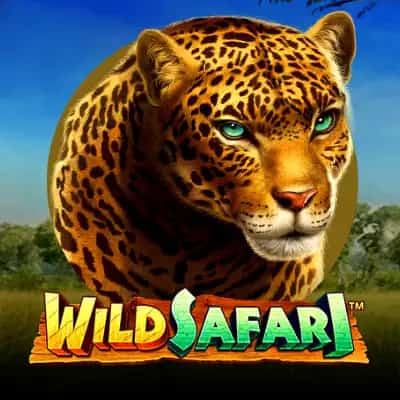 Wild Safari