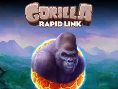 Gorilla: Rapid Link