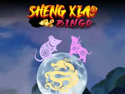 Sheng Xiao Bingo