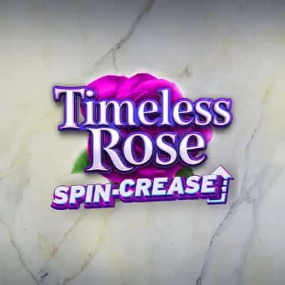 Timeless Rose