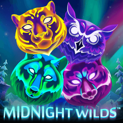Midnight Wild