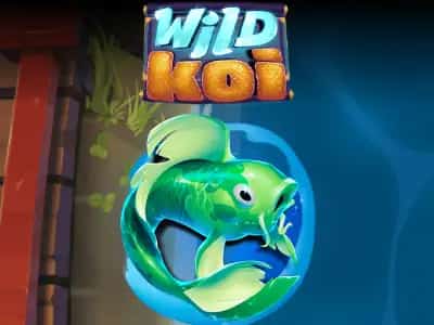 Wild Koi