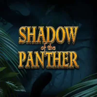 Shadow of the Panther