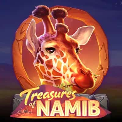 Treasures of Namib