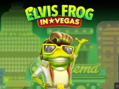 Elvis Frog in Vegas