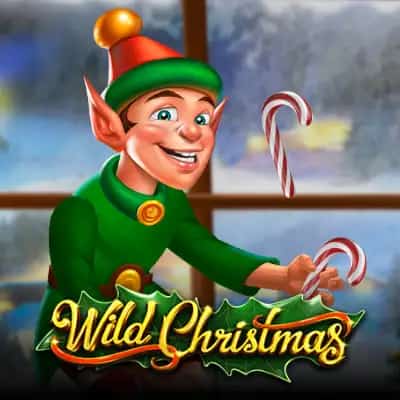 Wild Christmas