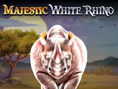 Majestic White Rhino